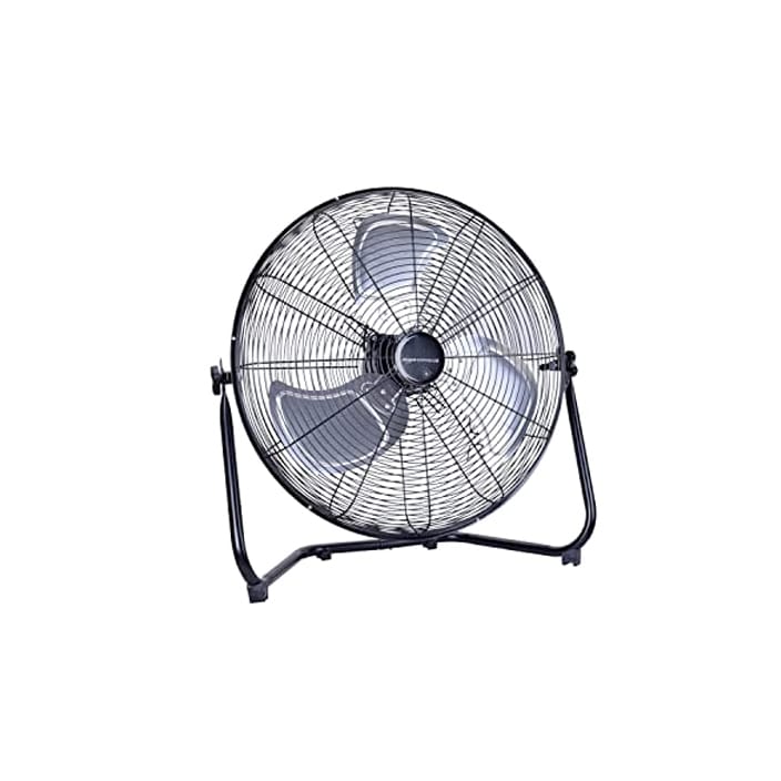 Photograph of Fan 19″