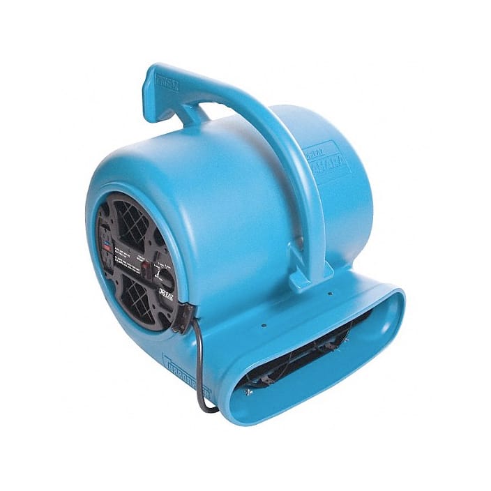 Photograph of Carpet Fan